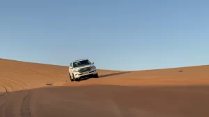 desert safari