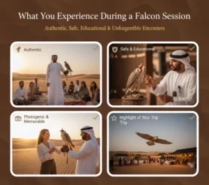 Falcon Desert Safari