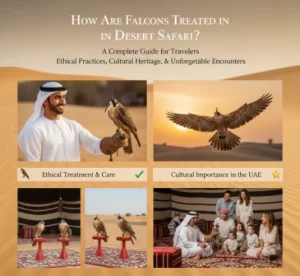 Falcon Desert Safari