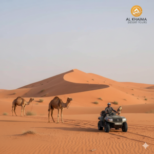 Dubai Airport Desert Safari