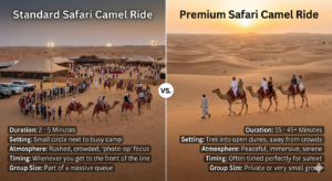 camel ride duration in desert safari