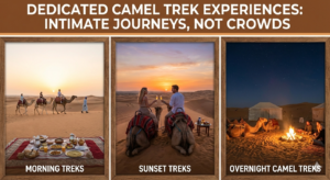 camel ride duration in desert safari